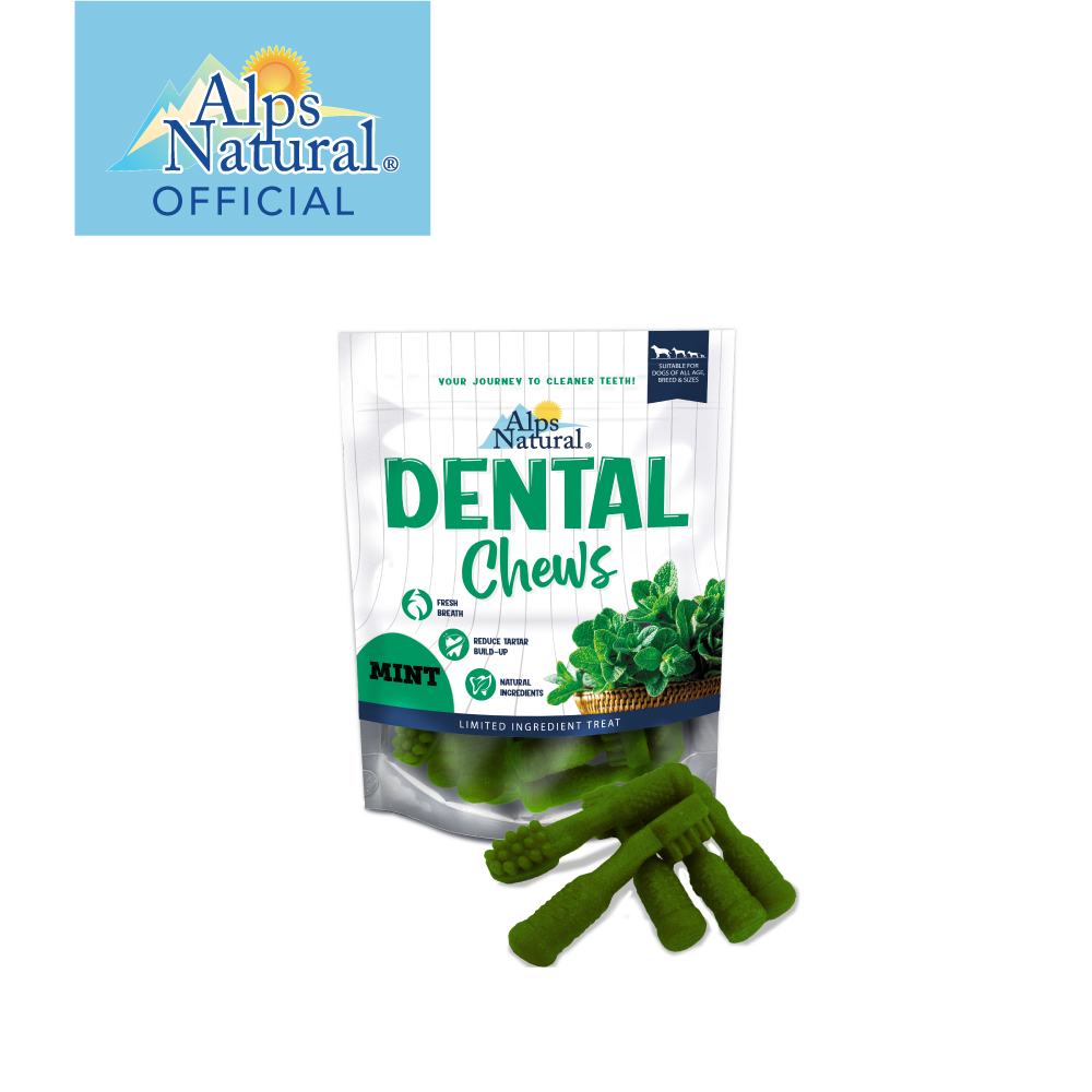 Alps Dental Chew_Mint Bristle-01