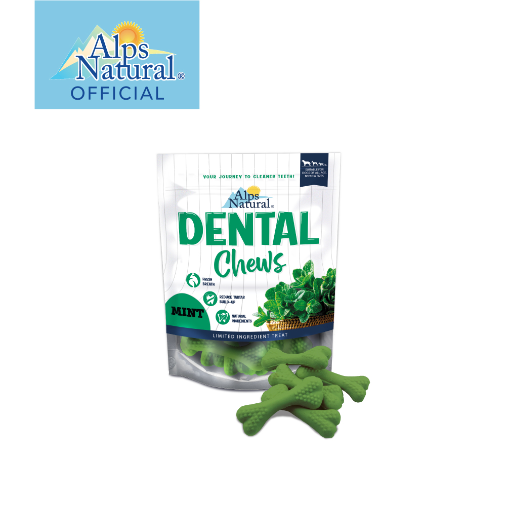 Alps Dental Chew_Mint Wishbone-01